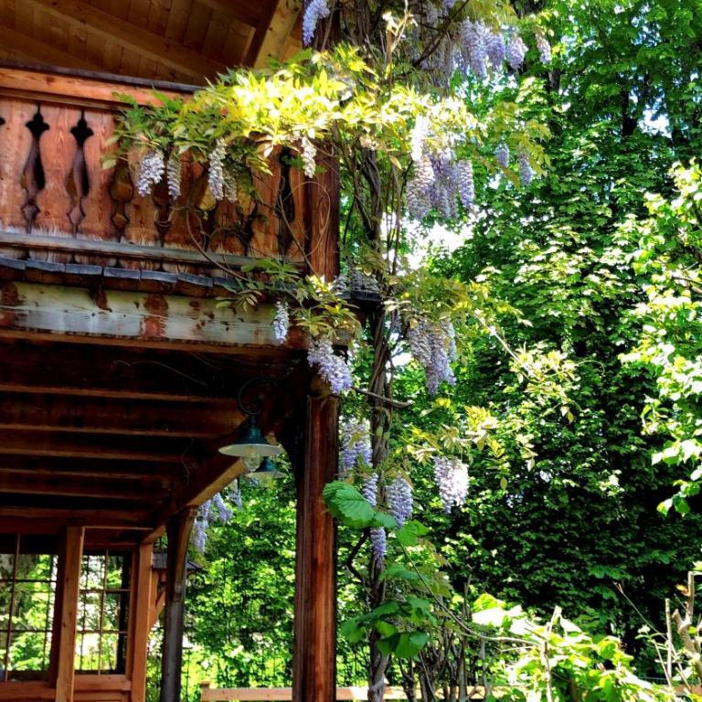 Garden Cottage Villa Lichtenstein - Your Austrian Home - Maison 1 Chambre - 43