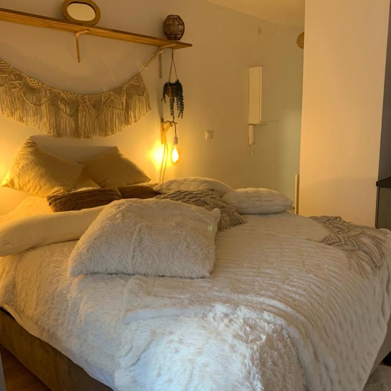 Studio tt confort coeur ville avec terrasse et parking gratuit - Appartement 1 Chambre - 24
