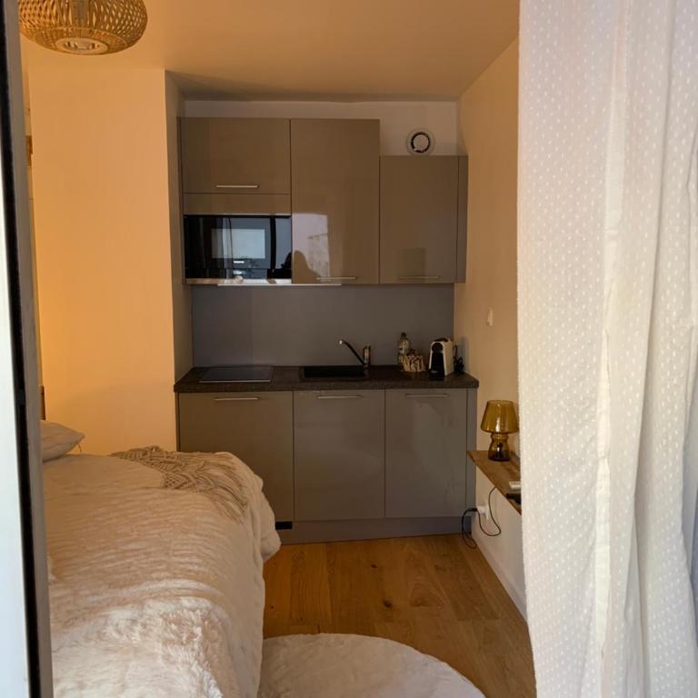 Studio tt confort coeur ville avec terrasse et parking gratuit - Appartement 1 Chambre - 29