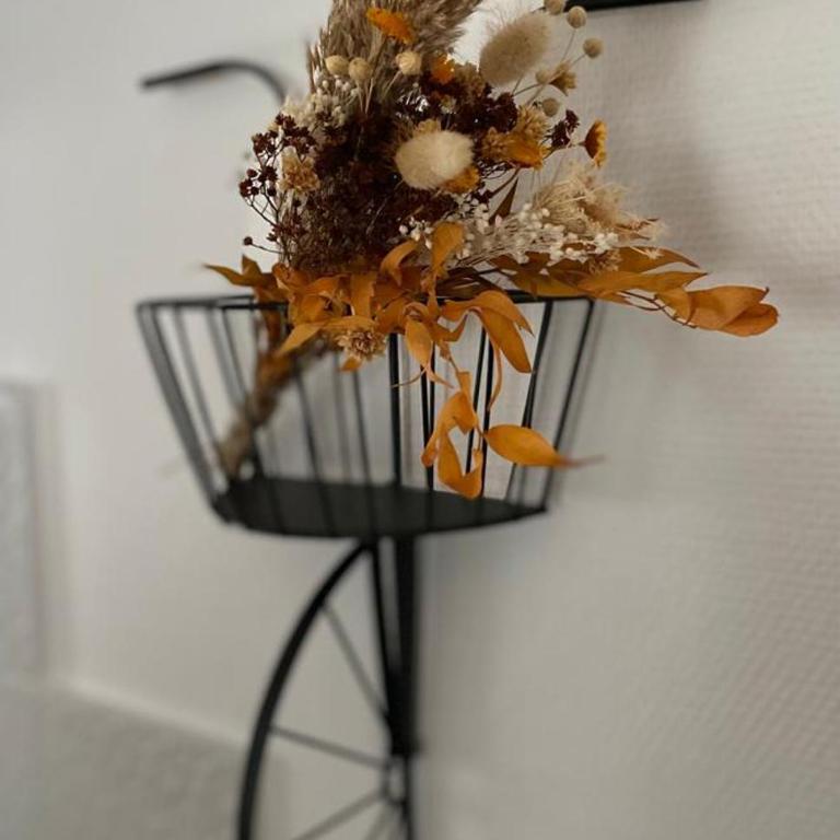 Appartement cosy en centre ville avec SPA et jardin - Appartement Supérieur - 12