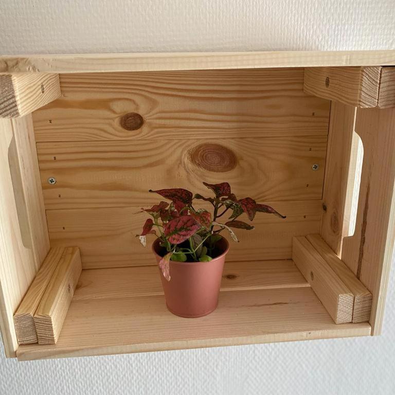 Appartement cosy en centre ville avec SPA et jardin - Appartement Supérieur - 14