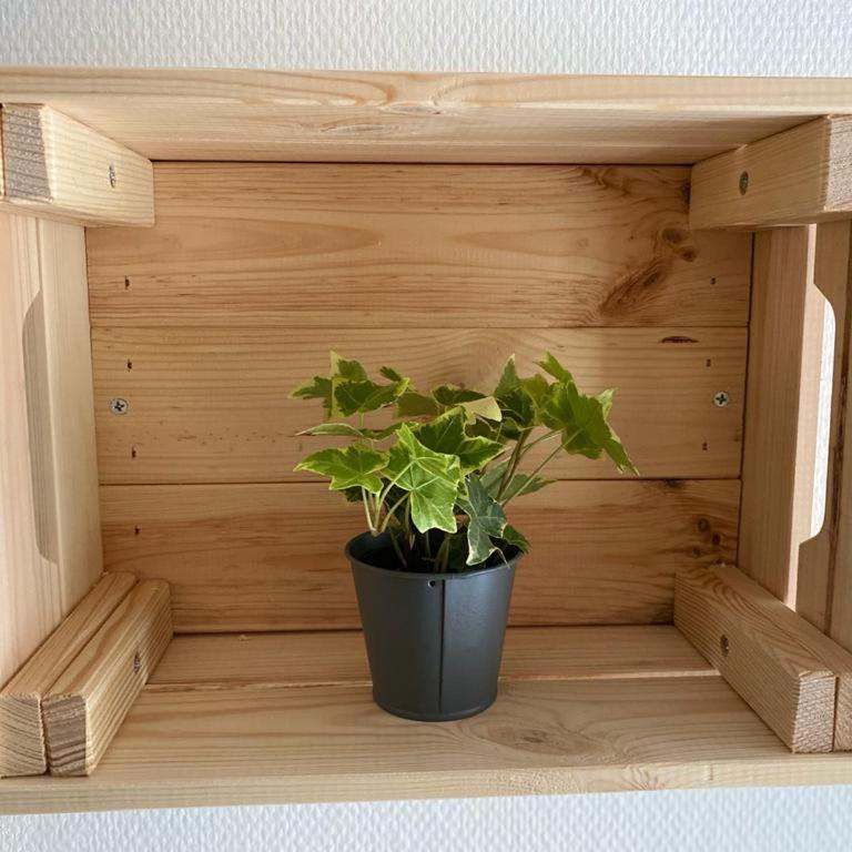 Appartement cosy en centre ville avec SPA et jardin - Appartement Supérieur - 13