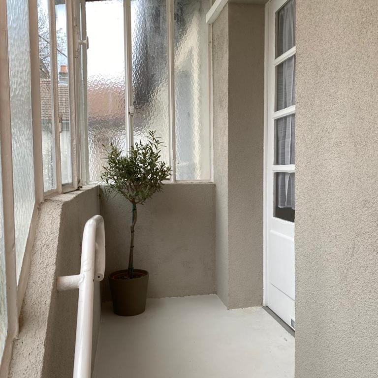 Appartement cosy en centre ville avec SPA et jardin - Appartement Supérieur - 20