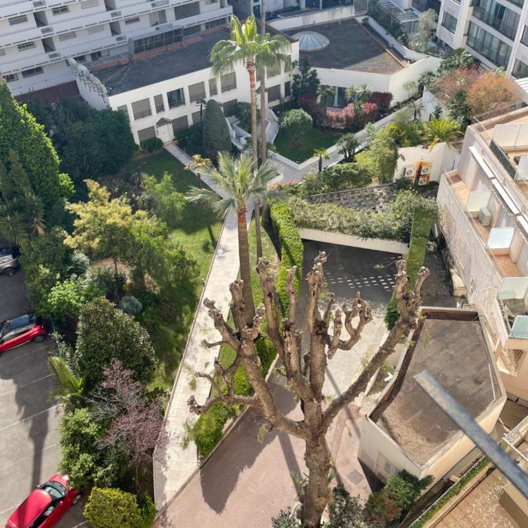 Cannes, Croisette, Palais Miramar - Studio - 10