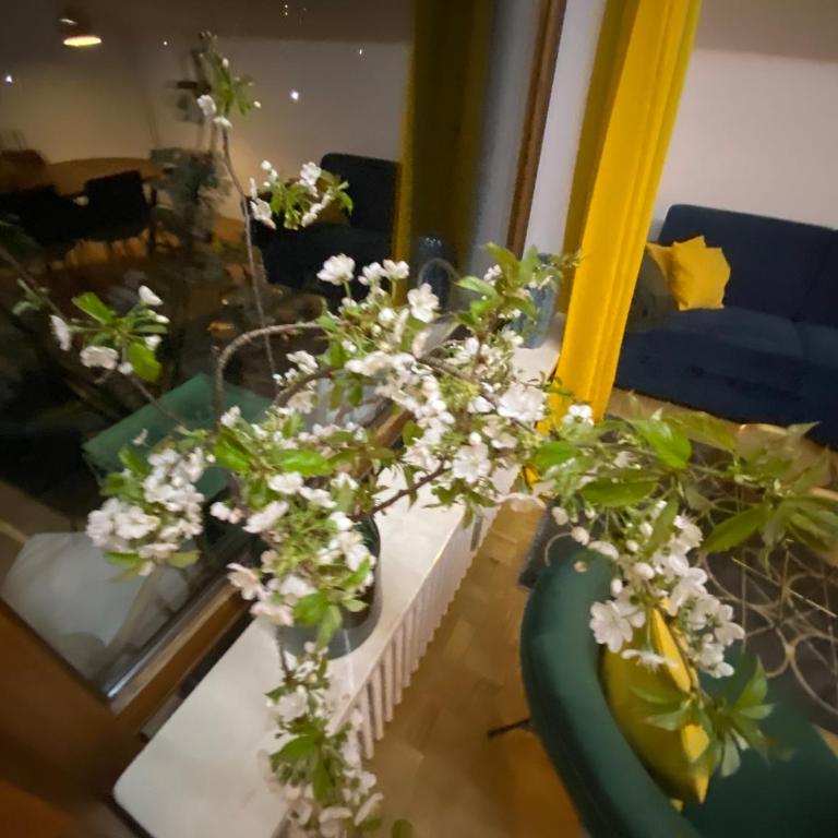 Ferienwohnung Panoramablick - Alpenmagie Suites - Apartment mit 1 Schlafzimmer - 26