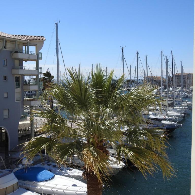 hippocampe f2 - Appartement 1 Chambre - 1