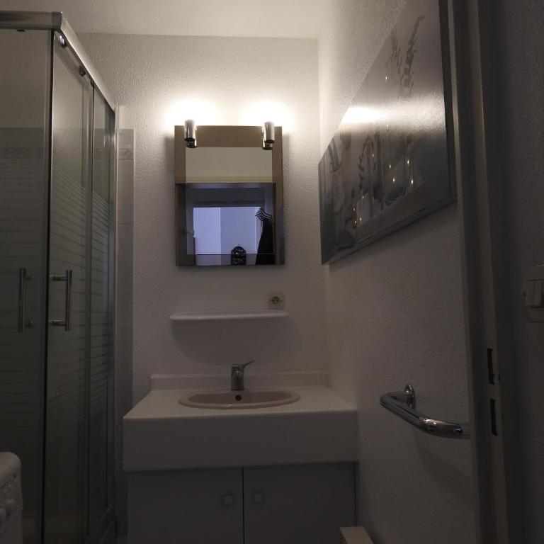 hippocampe f2 - Appartement 1 Chambre - 14