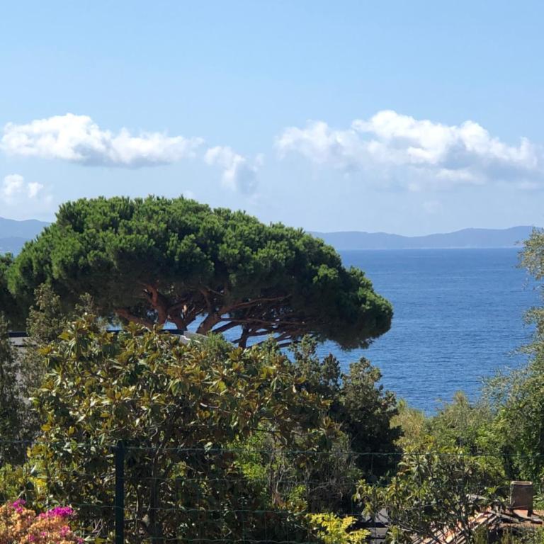 Ajaccio appartement 4 couchages, climatisé a 150m de la plage route des sanguinaires, parking privé - Apartment mit 2 Schlafzimmern - 36