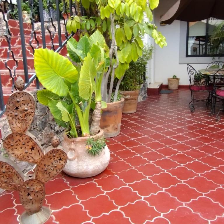 Pied à Terre at Casitas Aparicio - Villa con vistas al jardín - 21