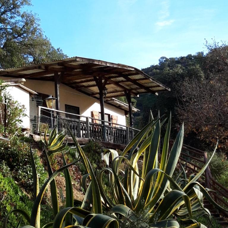 Les Amandiers - 5 km de la plage - Standard Apartment - 13