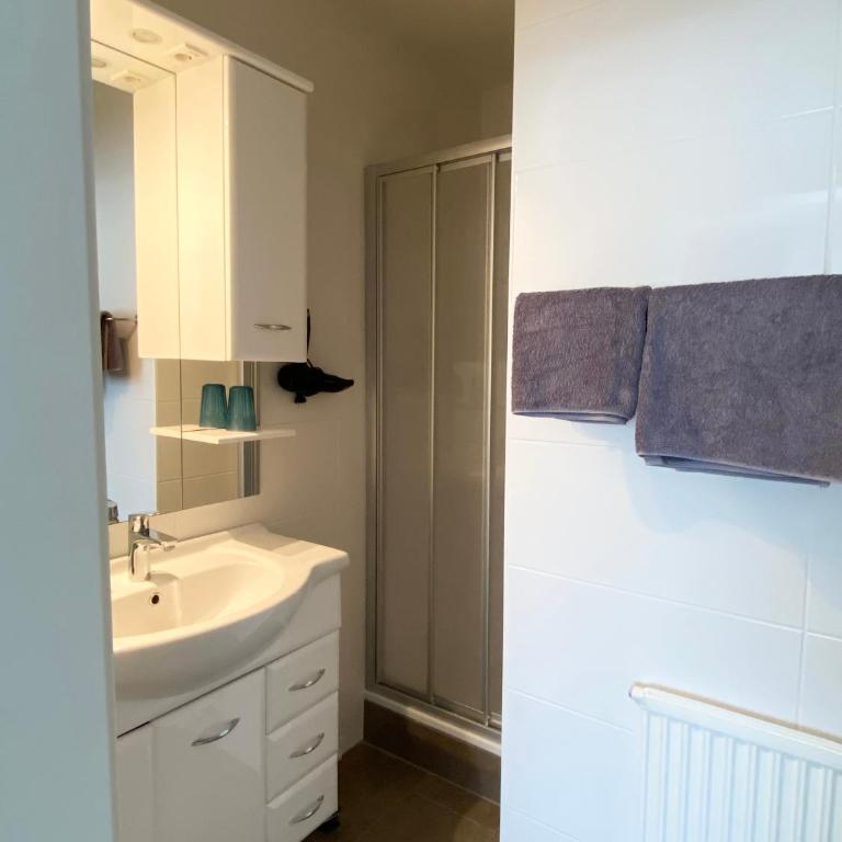 Apartment Birnbaum - Doppelzimmer mit eigenem Bad - 9