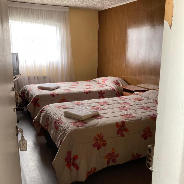 Hostal Balmaceda - Habitación Estándar con baño compartido - 2 camas - 2