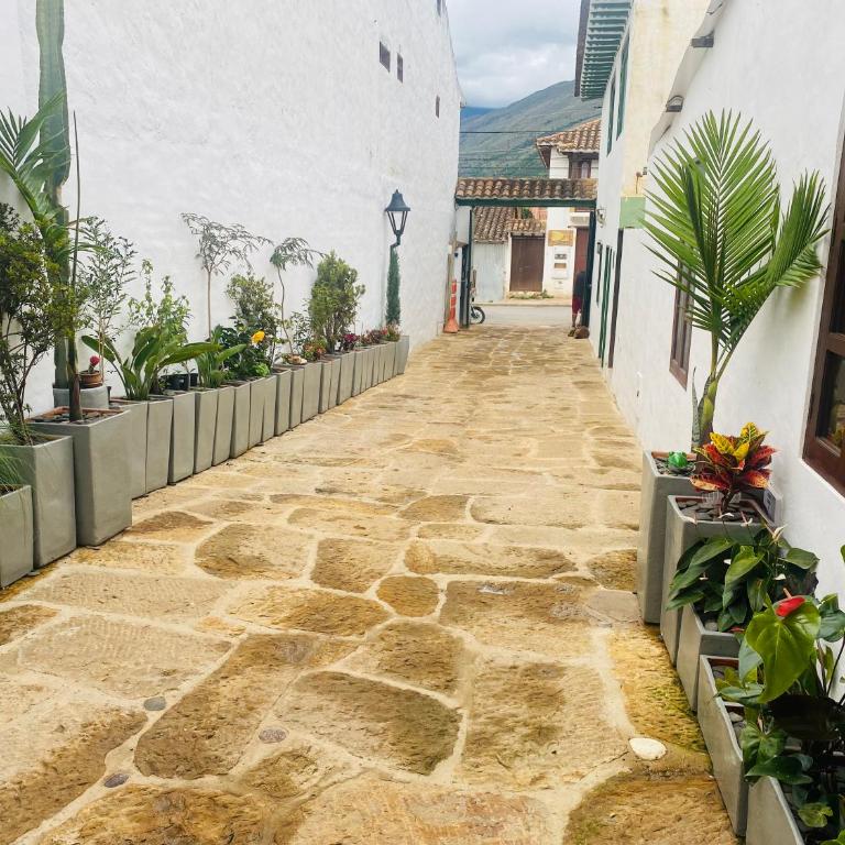 Apartamento Rincón de los Olivos - Two-Bedroom Apartment - 21