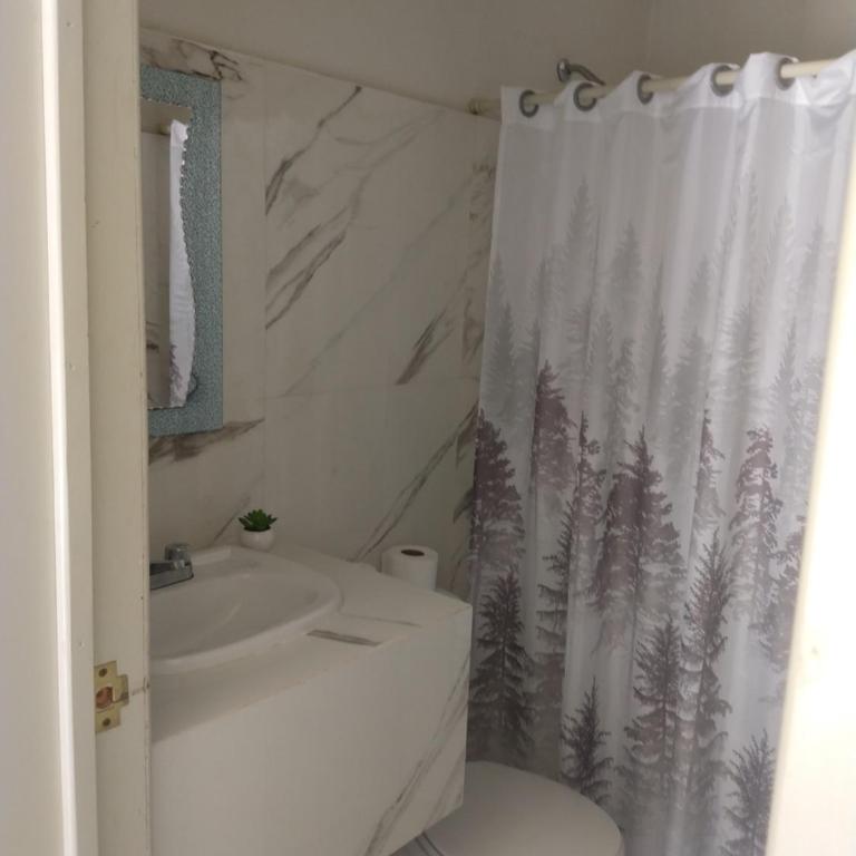 Cuarto Mar - One-Bedroom Apartment - 3