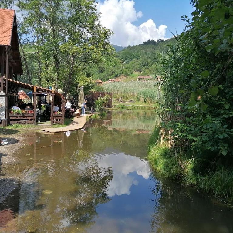 Apartman Div Kopaonik - One-Bedroom Apartment - 55