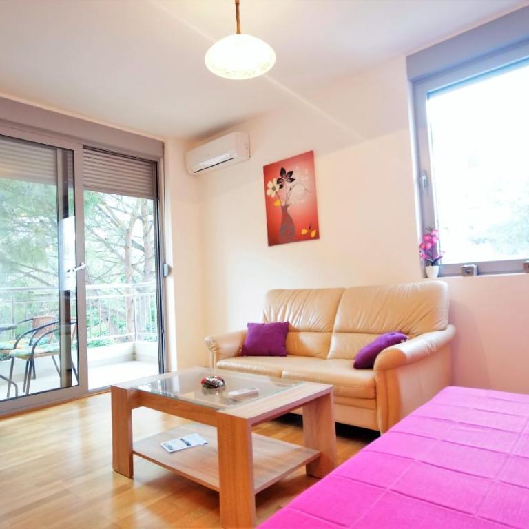 Pavlina Apartments Budva - Apartman sa 1 Spavaćom Sobom - 8