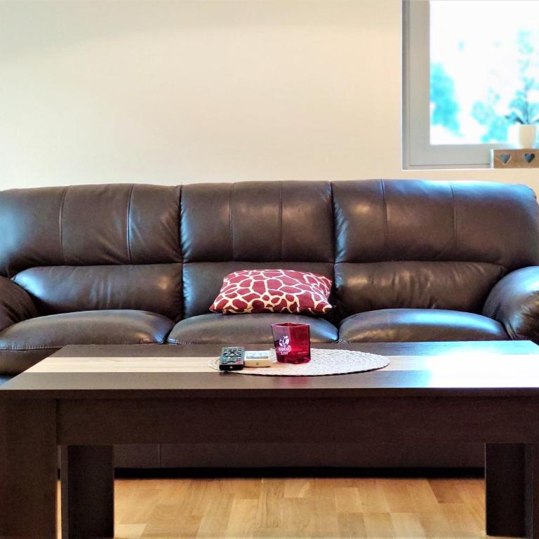 Pavlina Apartments Budva - Apartman sa 1 Spavaćom Sobom - 9