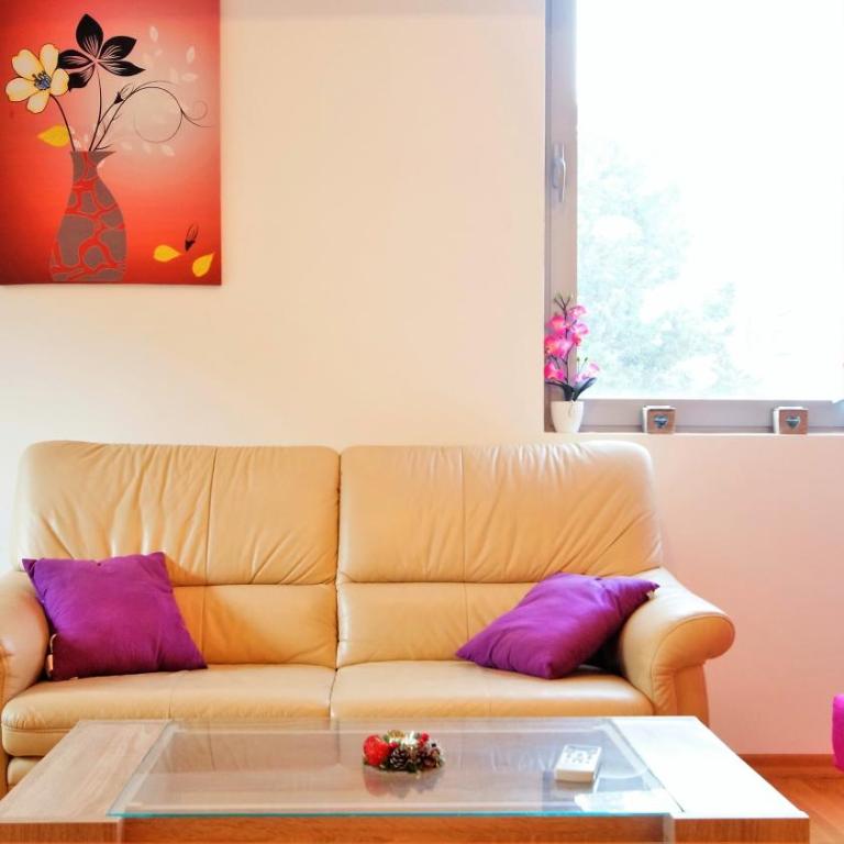 Pavlina Apartments Budva - Apartman sa 1 Spavaćom Sobom - 10
