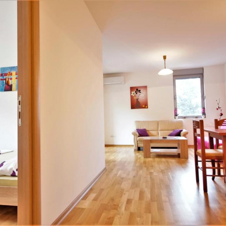 Pavlina Apartments Budva - Apartman sa 1 Spavaćom Sobom - 12