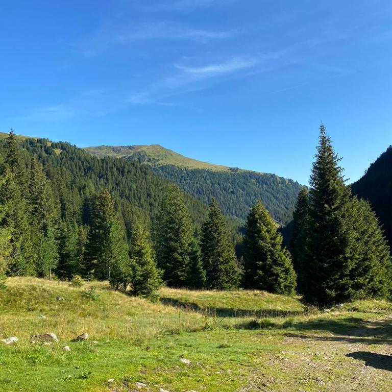 Almhütte Prem2 - Chalet mit 3 Schlafzimmern - 19