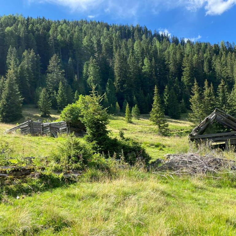 Almhütte Prem2 - Chalet mit 3 Schlafzimmern - 15