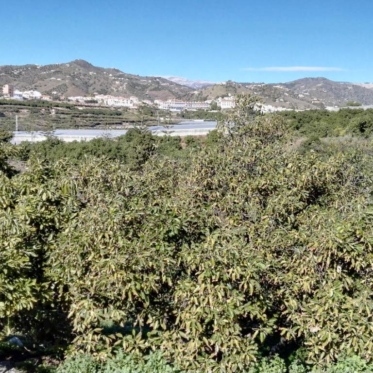 Casa Paloma Blanca - Casa de 3 dormitorios - 35