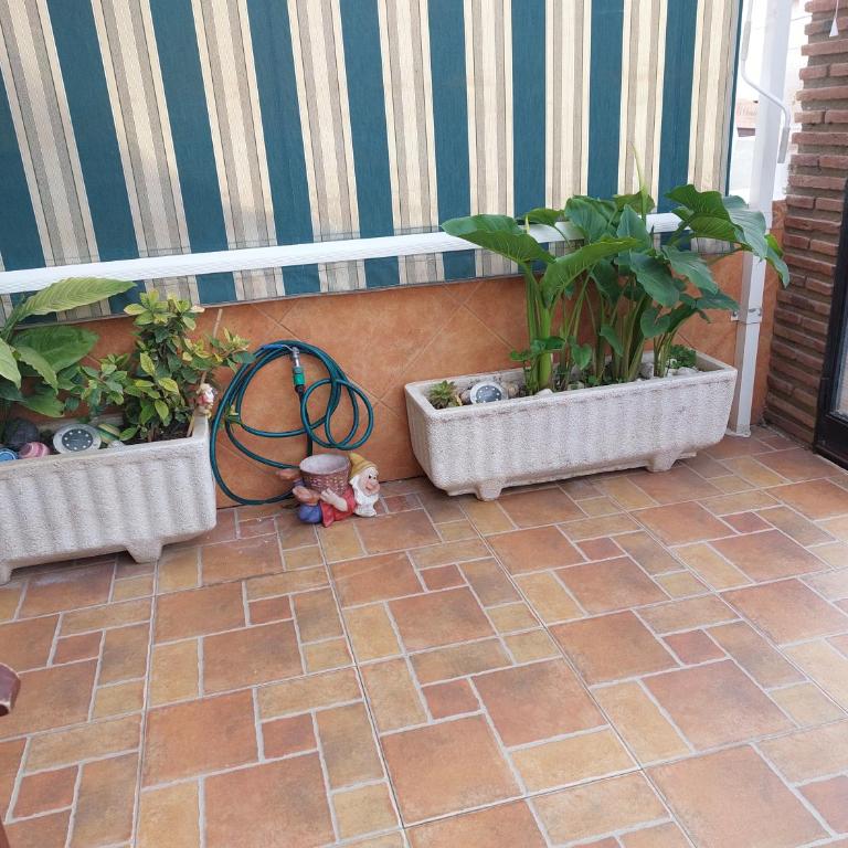 Casa lunera - Casa de 2 dormitorios - 25