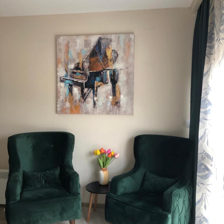 Apartman Ambijent Divcibare - Deluks Studio sa Queen Krevetom - 13