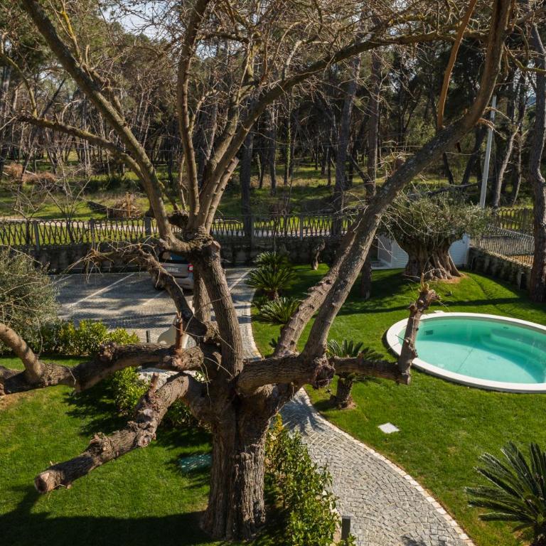 Luxury B&B La Riserva Dannunziana - Camera Queen con Vista Piscina - 7