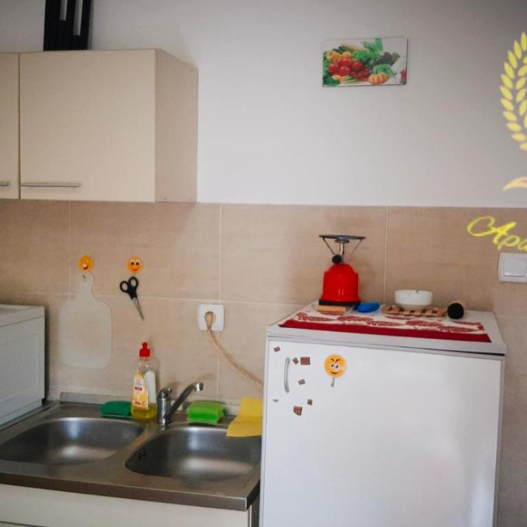 Apartmani Sovica - One-Bedroom Apartment - 2