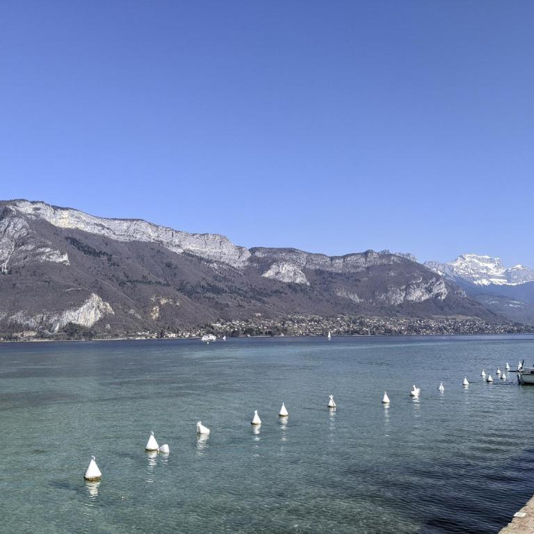 Cocon Annécien entre lac et montagne classé 1 étoile - Appartamento con 1 Camera da Letto - 37