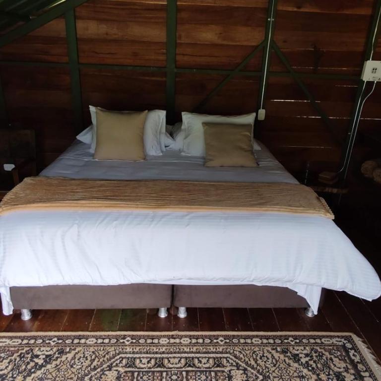 Ecohotel Pinohermoso Reserva Natural - Chalet de 1 dormitorio - 4