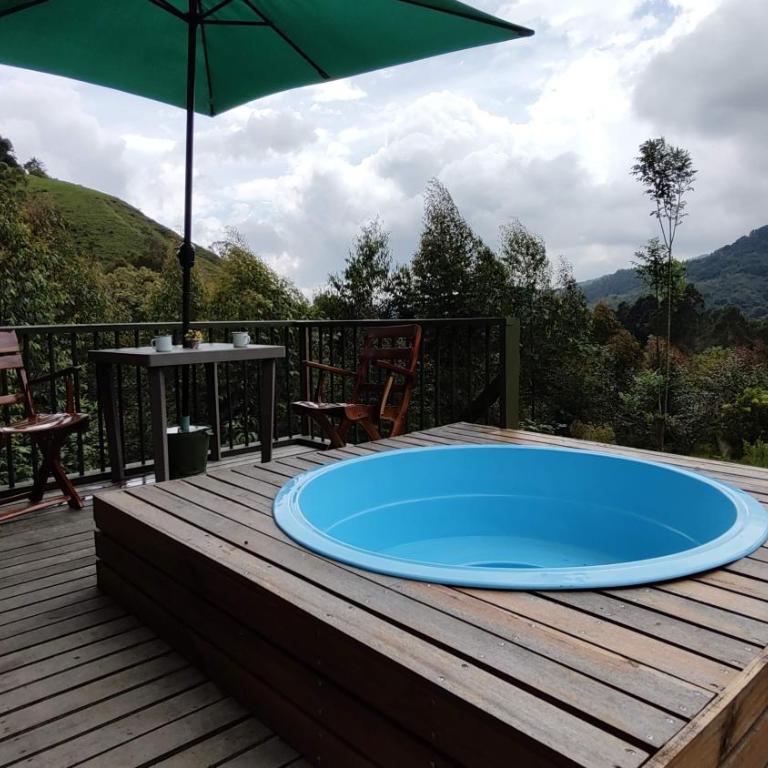 Ecohotel Pinohermoso Reserva Natural - Chalet de 1 dormitorio - 6