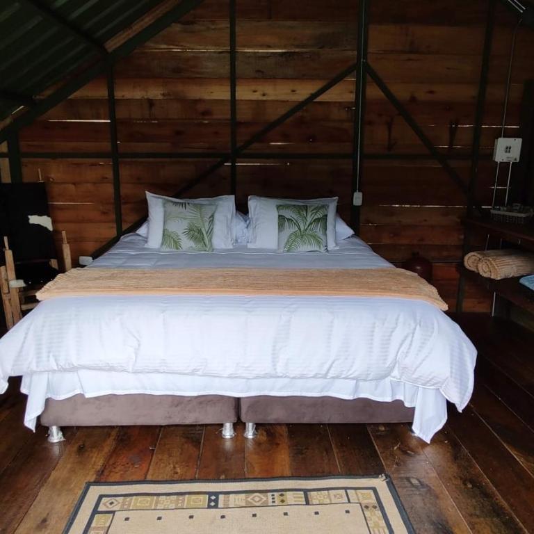 Ecohotel Pinohermoso Reserva Natural - Chalet de 1 dormitorio - 4