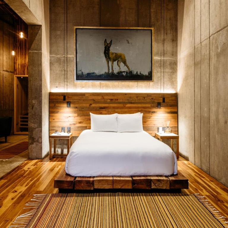 Flavia Hotel - Habitación Deluxe - 4