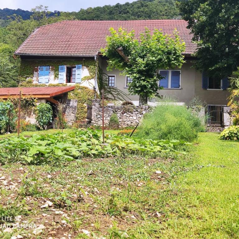 Du Vent Dans Les Arbres -120m2 Belle vue sur le lac - Two-Bedroom House - 1