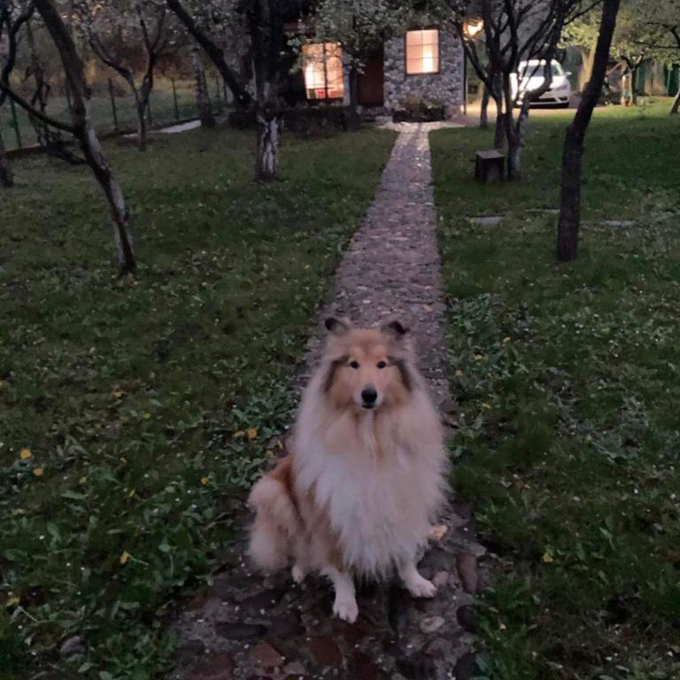 COUNTRY HOUSE - Two-Bedroom House - 5