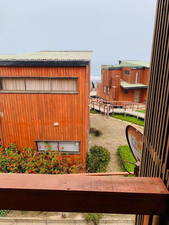 Pichilemu Loft 51 - Villa de 3 dormitorios - 39