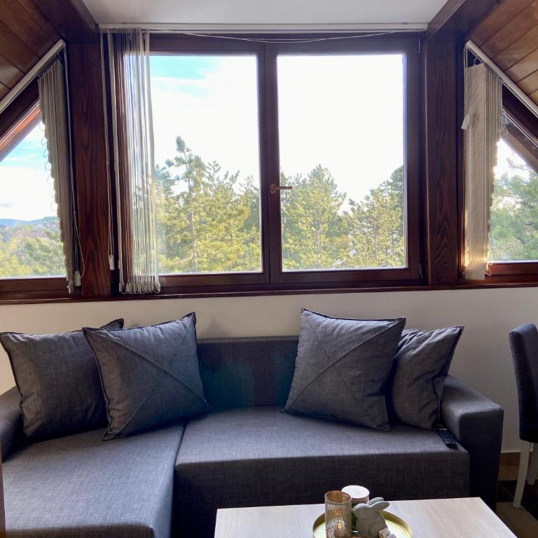 Take a rest Zlatibor - One-Bedroom Apartment - 9