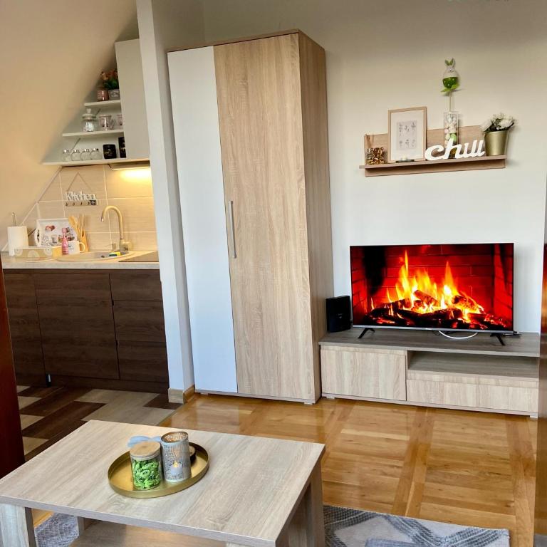 Take a rest Zlatibor - One-Bedroom Apartment - 2