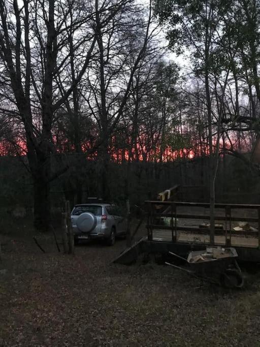 Cabaña en el bosque-Termas de Chillán - Casa de 2 dormitorios - 85