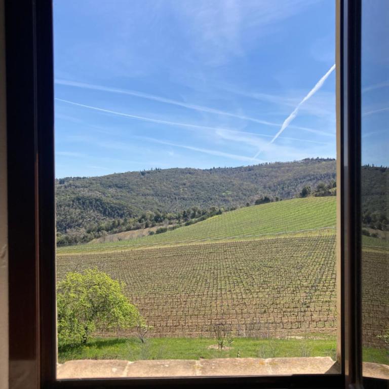 Fattoria La Torre - Two-Bedroom Apartment - 4