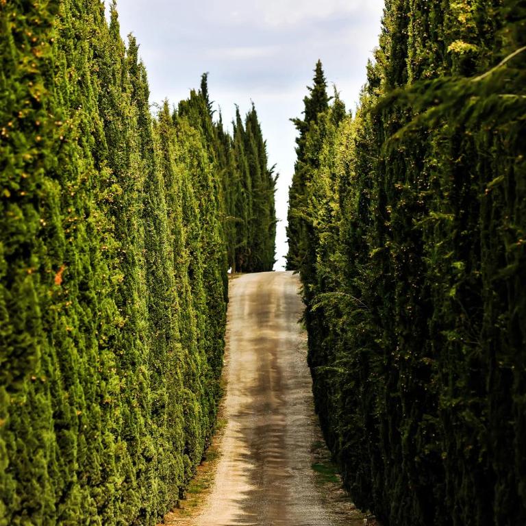 Casalchino-Fattoria La Torre - Camera Matrimoniale - 1