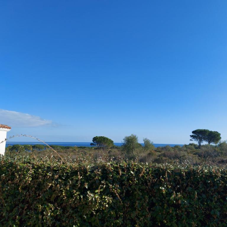 Gallura Dream villas - Casa con 1 Camera da Letto - 11