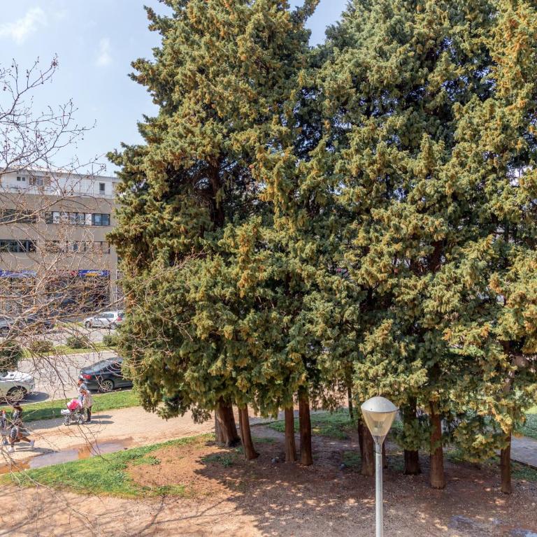 barapartman_centar - Apartment mit 1 Schlafzimmer - 20