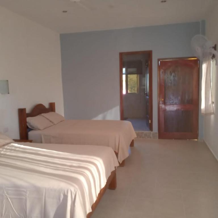 Ecohotel Shalom - Habitación Doble - 2 camas dobles - 7