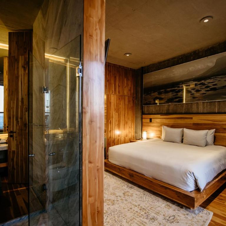 Flavia Hotel - Habitación Deluxe - 5