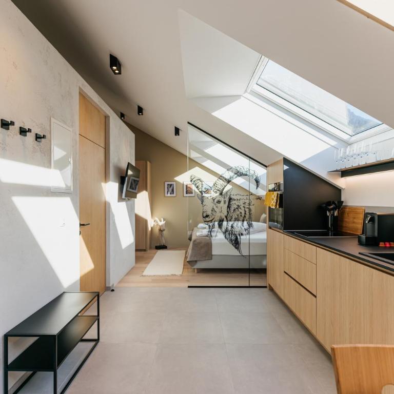 Lebe`oetz - Das Ferienapartmenthaus im Zentrum von Oetz - One-Bedroom Apartment - 1