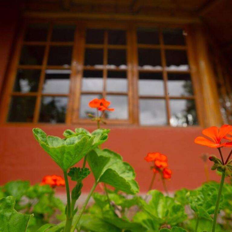 Bungalow Cajamarca, con Wifi y Cochera - Apartamento de 1 dormitorio - 15