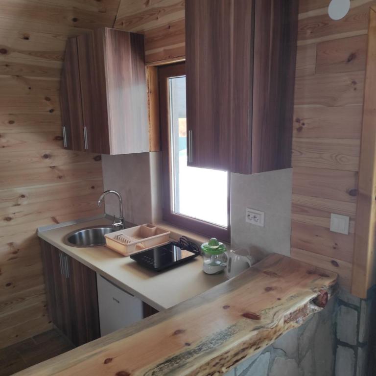 North Star Žabljak - Two-Bedroom House - 47